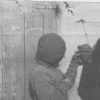 ⁦המשוגעת⁩ – תמונה ⁦2⁩